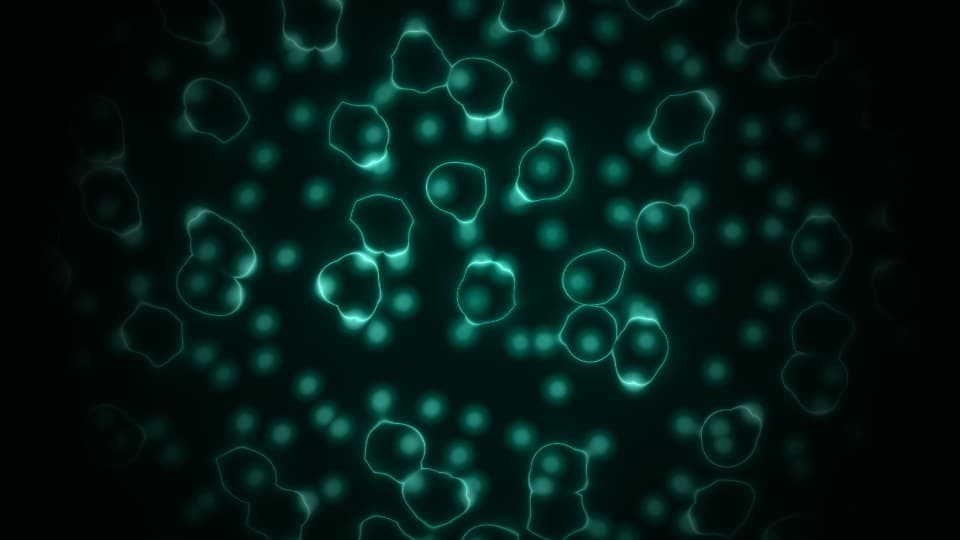 Bioluminescent Reef example preview